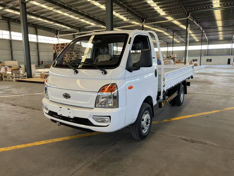 CHENXU 2.5tons diesel light cargo truck with ISUZU 2.8L engine